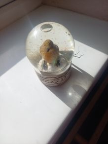 snow globe