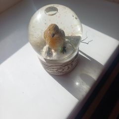 snow globe