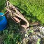 Massey Ferguson 35 and plough Image 7