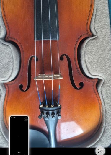 Childs fiddle