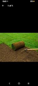 Artificial/Turf Grass