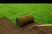 Artificial/Turf Grass