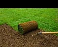 Artificial/Turf Grass
