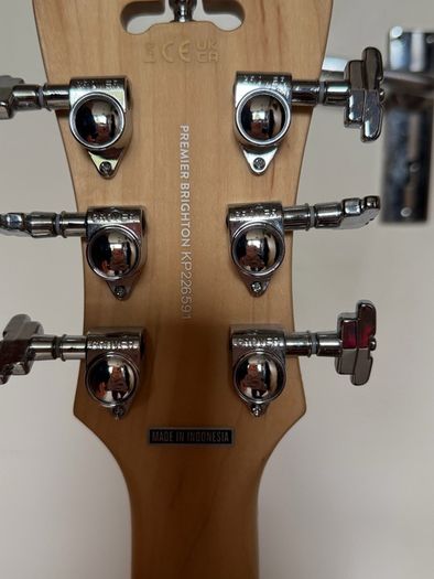 D'Angelico Brighton Premier