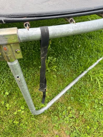 Plum Trampoline