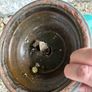 Vintage Glazed Terracotta Planter Image 3