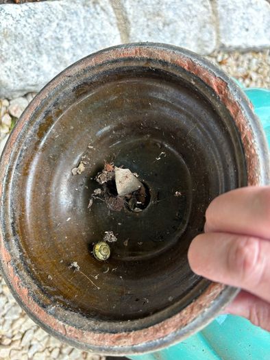 Vintage Glazed Terracotta Planter