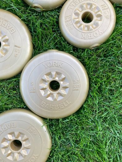 york weights set