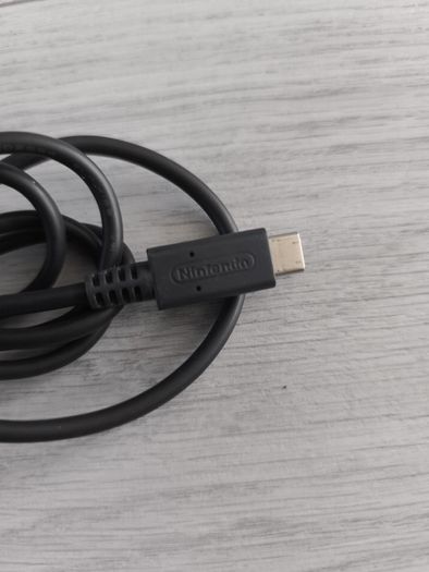 Nintendo switch charger