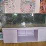 500 litre Aquarium with wired cabinet Image 2