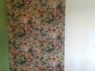 Painter,Handyman,Builder, Carpenter, Flooring service Image 5
