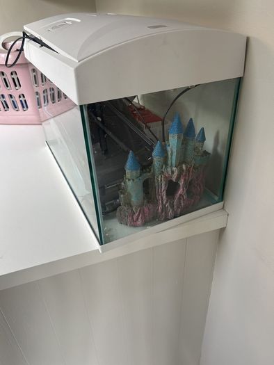 Fish Tank