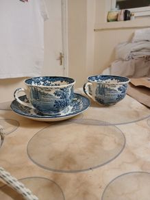 palissy avon scenes