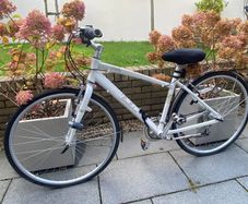 Pendleton Darby Womens Bike
