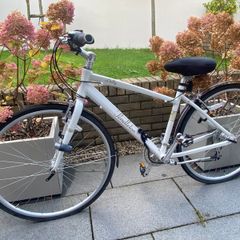 Pendleton Darby Womens Bike
