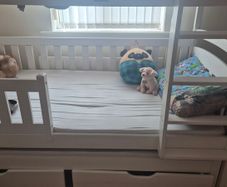bunk bed