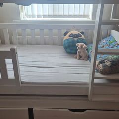 bunk bed