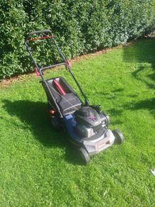 Prolawn Self Drive Lawnmower