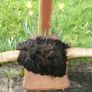 Antique Taxidermy Buffalo Horns (40") Image 7