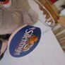 Silent Night Hippo in Pyjamas for Sale Image 3