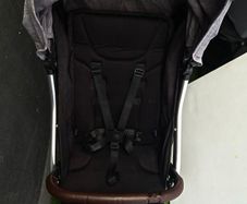 travel buggy