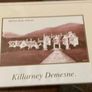 Table placemats of Killarney Image 4
