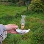 Porcelain oil lamp postage possible Image 3