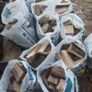 firewood and coyle coal Image 8