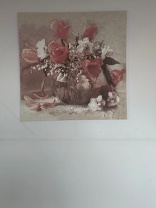Flower Picture
