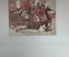 Flower Picture