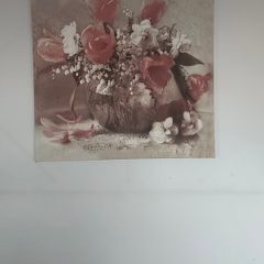 Flower Picture