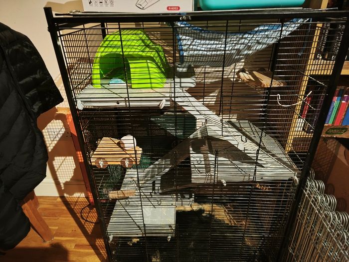 Used small pet cage/ starter kit