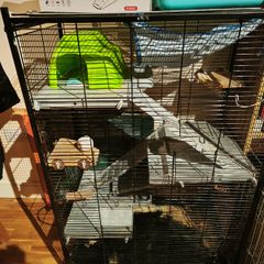 Used small pet cage/ starter kit