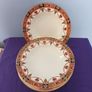 7 Arklow  Soup Plates. Pattern No. 812 Image 2