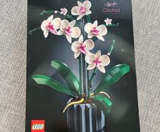 LEGO Orchid 10311 Flowers