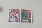 world cup extra sticker double