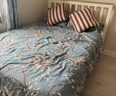 Double and Single Beds
