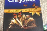 Chrysalis student portfolio
