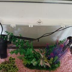 Fish Tank