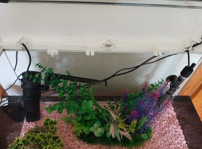 Fish Tank