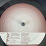 Super Furry Animals - Rings Around The World (First Press inc. 7" & DVD) Image 5