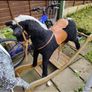 Rocking Horse Image 2