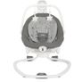 Baby Swing Image 2