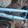 Raleigh Roma girls bike Image 3