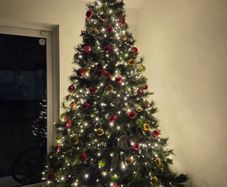 Christmas tree