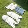 Cricket pads Image 2