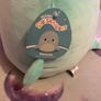 Squishmallow Image 2