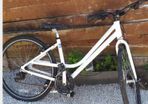 Ladies bike/careera bike