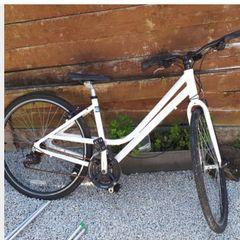 Ladies bike/careera bike