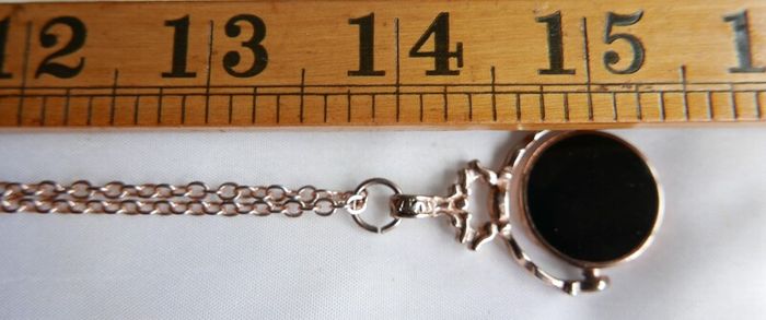 Vintage  Gold Plated Bloodstone & Carnelian Spinner Pendant and Chain